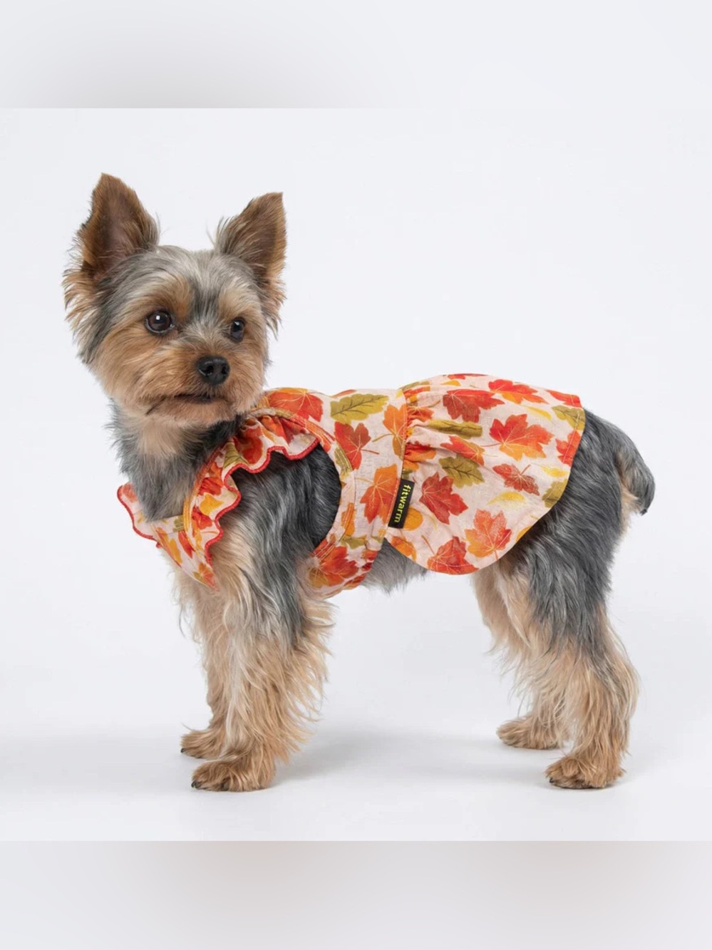 NEW FITWARM MAPLE RUFFLE DOG DRESS